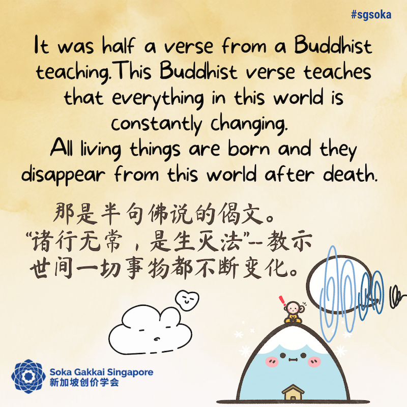 Snow Mountains 8of31