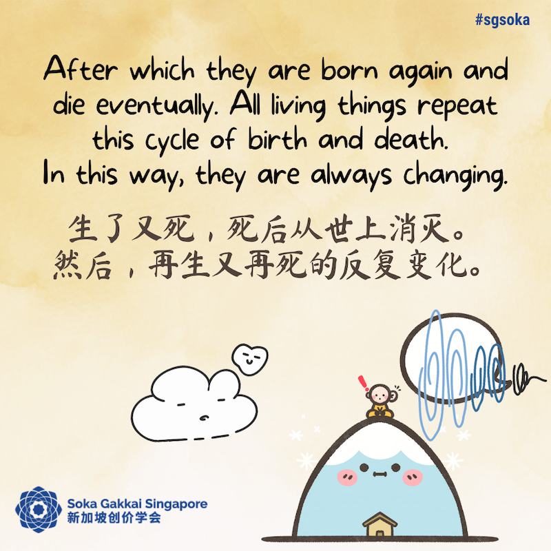 Snow Mountains 9of31