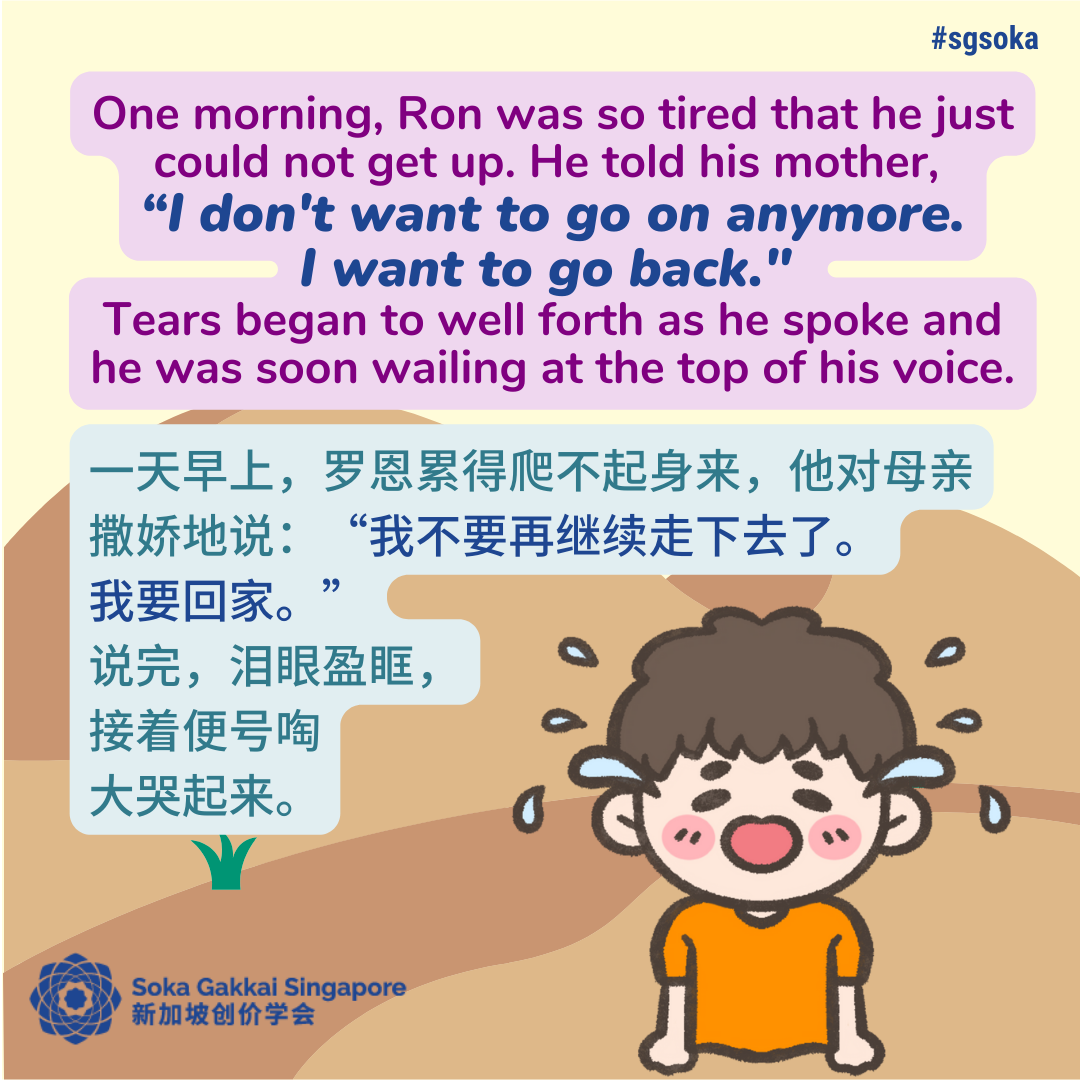 Where is the Treasure Land 5of21